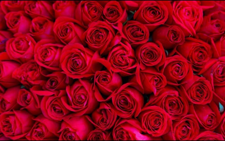 El color rojo es el que predomina en el mercado por las rosas de dicho color. EL INFORMADOR / A. Navarro