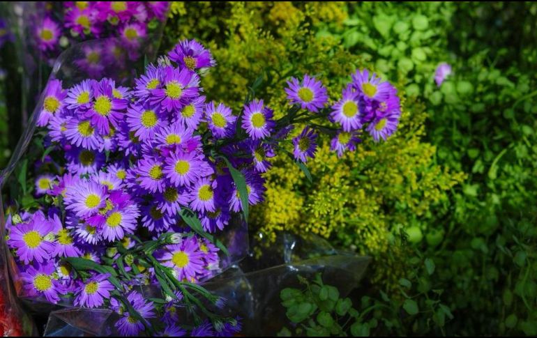 La demanda ha incrementado el precio de las flores este 14 de febrero en el Mercado de las Flores. EL INFORMADOR / A. Navarro