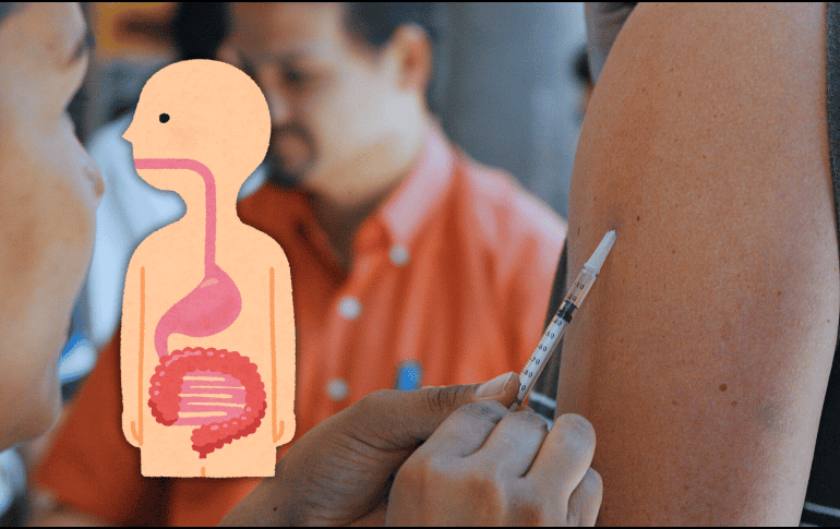 Conoce lo que le pasa a tu cuerpo tras enfermarte de sarampión. EL INFORMADOR/ARCHIVO