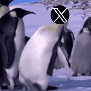 La interrupción no pasó desapercibida: rápidamente se desató una ola de memes en otras plataformas, con usuarios compartiendo burlas y comentarios cargados de humor sobre la situación. ESPECIAL