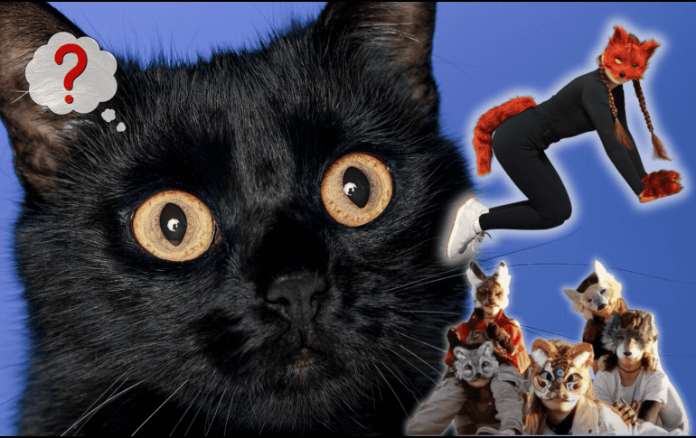 La mayoría de los integrantes reconoce que no existen procedimientos para alterar el cuerpo humano y convertirlo en el de otro animal. ESPECIAL