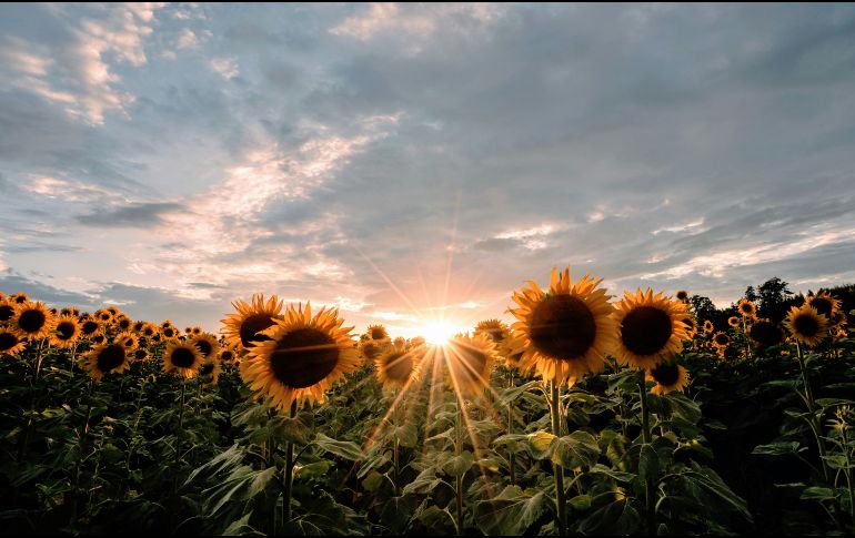 La ubicación de Rancho San Juan Diego es: Camino Potrero San Juan 4, San Sebastián el Grande, Tlajomulco de Zúñiga. Unsplash