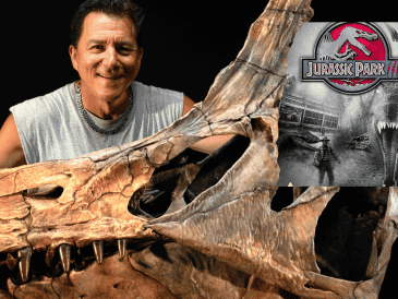 En la imagen el paleontólogo estadounidense Paul Sereno, de la Universidad de Chicago, posa con el cráneo reconstruido de este dinosaurio gigante. EFE/K. Ladzinski/Universidad de Chicago