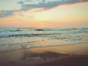 Si buscas una playa cerca de la CDMX con naturaleza, historia y una alberca natural digna de postal, Tuxpan es la respuesta. UNSPLASH