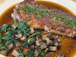 Disfruta de una tarde agradable y una comida deliciosa al acudir a Terso. ESPECIAL