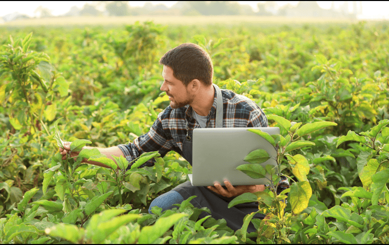 El Día del Agrónomo no solo celebra una profesión, sino también la vocación de quienes trabajan para fortalecer el desarrollo rural. CANVA