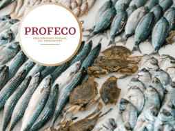 Los tips que comparte la institución abarca para todo los tipos de mariscos, como pescado,  camarones, moluscos, ostiones, etc. CANVA PROFECO