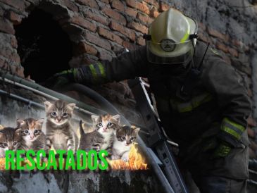 Una vez controlado el fuego, se procedió a comenzar con las labores de enfriamiento para evitar reactivaciones. ESPECIAL / Facebook Protección Civil Jalisco