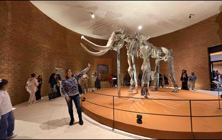 La directora del Museo del Mamut recordó que este fue inaugurado en 2018 como parte de las obras por la construcción del AIFA. SUN/A. Contreras