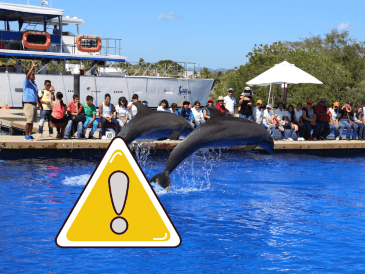 Los LCM son componentes esenciales de las pantallas de portátiles, televisores y teléfonos inteligentes; estos compuestos se consideran contaminantes persistentes. NTX / ARCHIVO