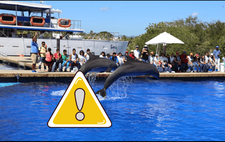 Los LCM son componentes esenciales de las pantallas de portátiles, televisores y teléfonos inteligentes; estos compuestos se consideran contaminantes persistentes. NTX / ARCHIVO