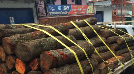 Las acciones incluyeron filtros carreteros e inspecciones a vehículos que transportaban materias primas y productos forestales. EL INFORMADOR/Archivo