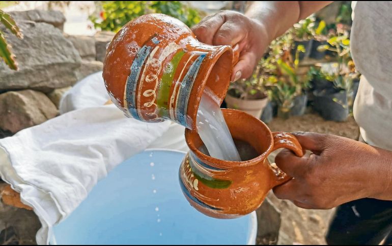 Servido en jícara, el pulque conserva una tradición milenaria que combina saber agrícola, técnica artesanal y diversidad microbiana. ESPECIAL