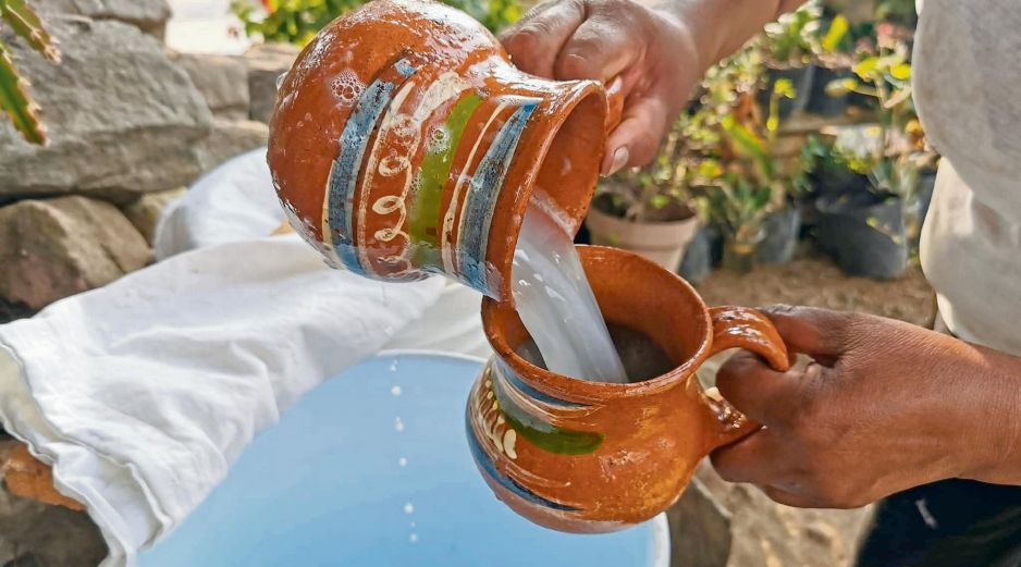 Servido en jícara, el pulque conserva una tradición milenaria que combina saber agrícola, técnica artesanal y diversidad microbiana. ESPECIAL