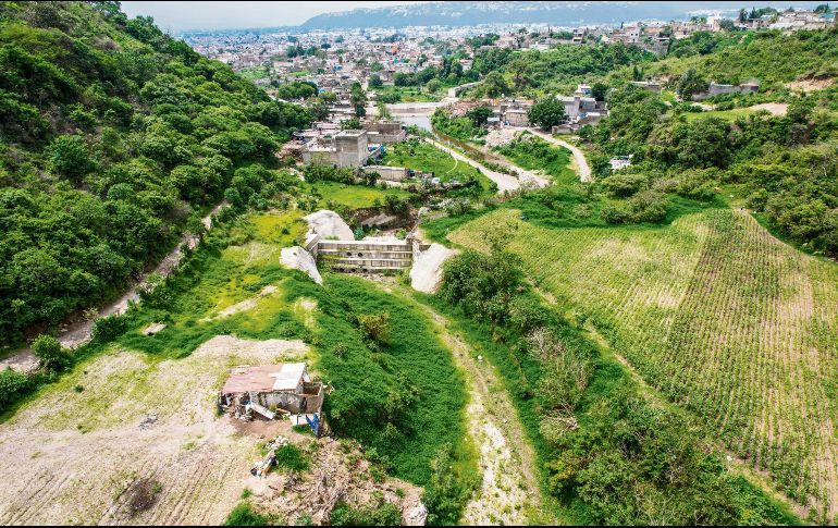 Terrenos ejidales se ofertan como desarrollos campestres en las faldas de La Primavera, pero se ubican en la zona de amortiguamiento del Área Natural Protegida, sin permisos de uso de suelo para construir. EL INFORMADOR/ A. Navarro
