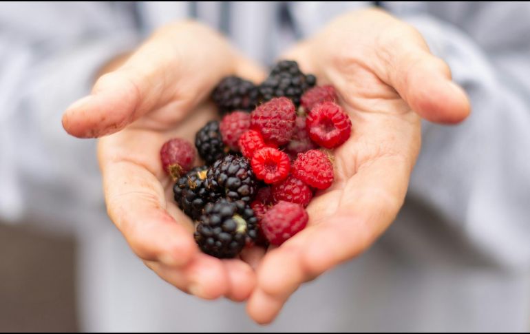 ¿Qué beneficios tiene consumir frutos rojos? UNSPLASH / Z. RICHARDSON