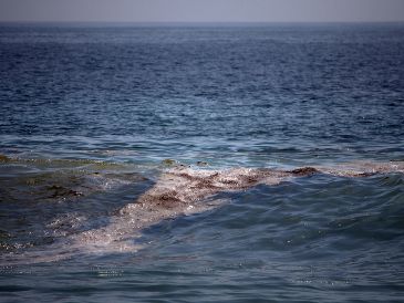 Se reportó la presencia de residuos derivados del petróleo en playas, lagunas y mar abierto a lo largo de casi 170 kilómetros. EFE/L. Villalobos