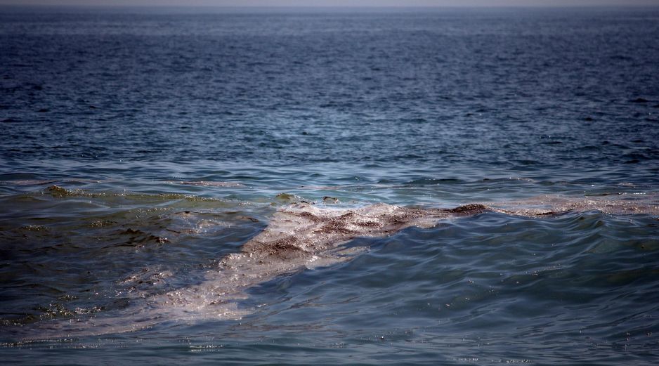 Se reportó la presencia de residuos derivados del petróleo en playas, lagunas y mar abierto a lo largo de casi 170 kilómetros. EFE/L. Villalobos