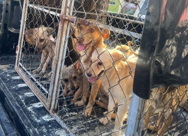 &nbsp;CORTESÍA/ Gobierno de Guadalajara