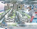 Trabajadora participa en una línea de producción industrial. Empresarios prevén mejora gradual del mercado laboral durante el año. ESPECIAL