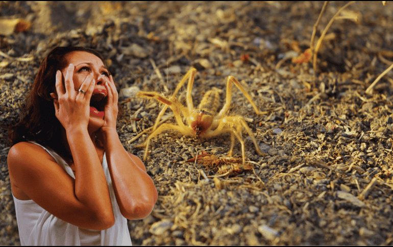 Por su aspecto, la gente confunde a las 