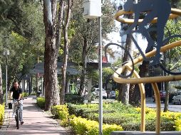 Uno de cada tres adultos y ocho de cada diez adolescentes no cumplen las directrices de actividad recomendadas por la Organización Mundial de la Salud. EL INFORMADOR/ARCHIVO