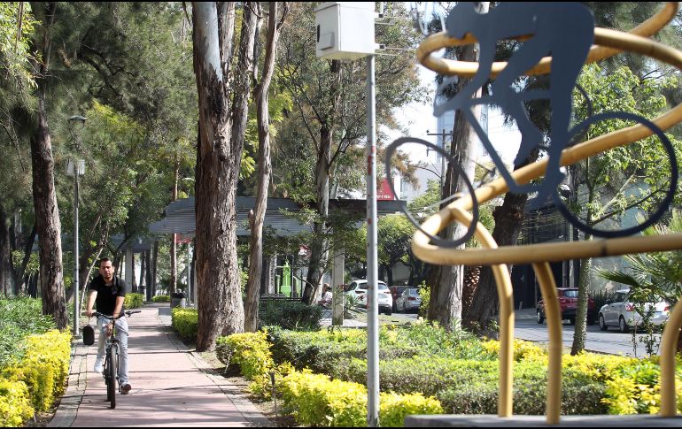 Uno de cada tres adultos y ocho de cada diez adolescentes no cumplen las directrices de actividad recomendadas por la Organización Mundial de la Salud. EL INFORMADOR/ARCHIVO