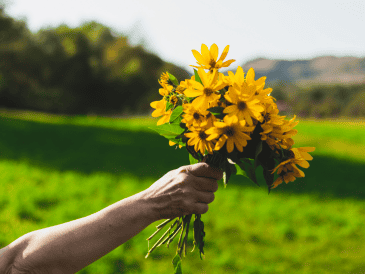 Aunque actualmente la tradición circula ampliamente en plataformas digitales como TikTok e Instagram, su origen moderno se asocia con la telenovela juvenil argentina Floricienta, estrenada en 2004. CANVA