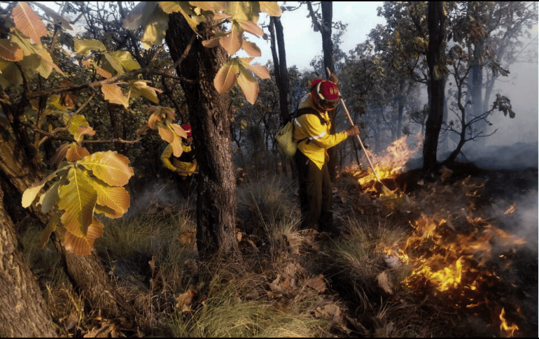 Autoridades estatales han implementado algunas acciones para prevenir la mayor cantidad de incendios forestales posibles. ESPECIAL
