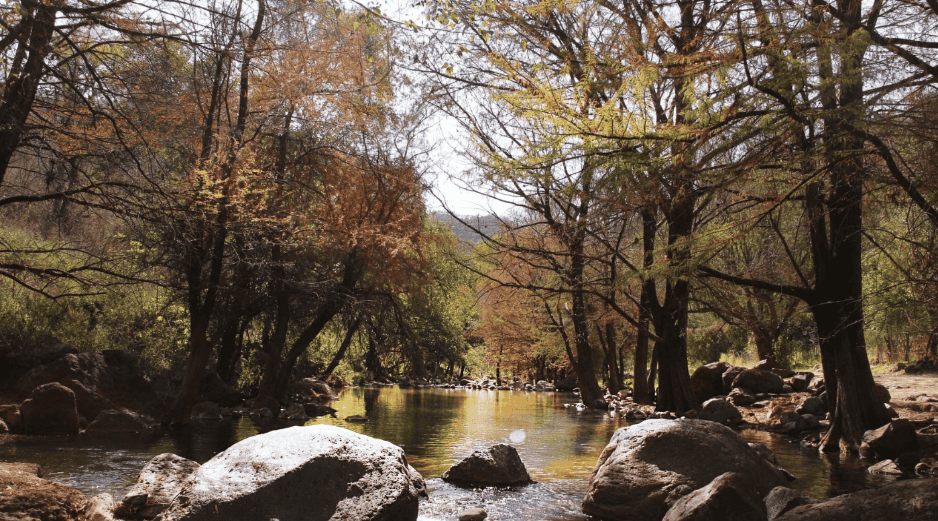 Jalisco esconde muchas joyas y esta es una de ellas; las mejores temporadas para visitarlo son de noviembre a mayo, y suele haber más afluencia de visitantes durante el periodo vacacional. Facebook/Cultura Cuquío Jalisco