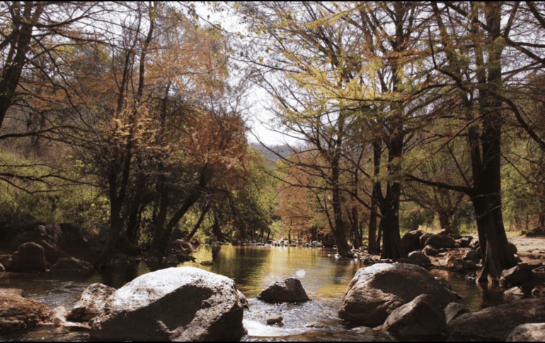 Jalisco esconde muchas joyas y esta es una de ellas; las mejores temporadas para visitarlo son de noviembre a mayo, y suele haber más afluencia de visitantes durante el periodo vacacional. Facebook/Cultura Cuquío Jalisco
