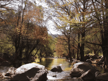 Jalisco esconde muchas joyas y esta es una de ellas; las mejores temporadas para visitarlo son de noviembre a mayo, y suele haber más afluencia de visitantes durante el periodo vacacional. Facebook/Cultura Cuquío Jalisco