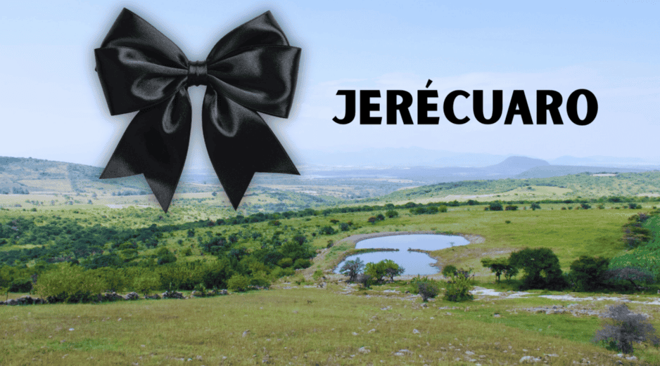 La gobernadora Libia Dennise García Muñoz Ledo expresó su solidaridad con Acevedo Mercado, con su familia y con las de las víctimas.  FACEBOOK / Gobierno Municipal de Jerécuaro, Gto.