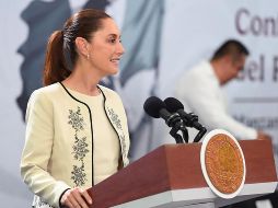 Senadores del Partido Verde manifestaron su respaldo al plan B de reforma electoral propuesto por la Presidenta Claudia Sheinbaum. EFE/ARCHIVO