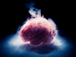 Si las conexiones sinápticas permanecen intactas, la actividad neuronal podría restablecerse incluso después de largos periodos de suspensión molecular. CANVA