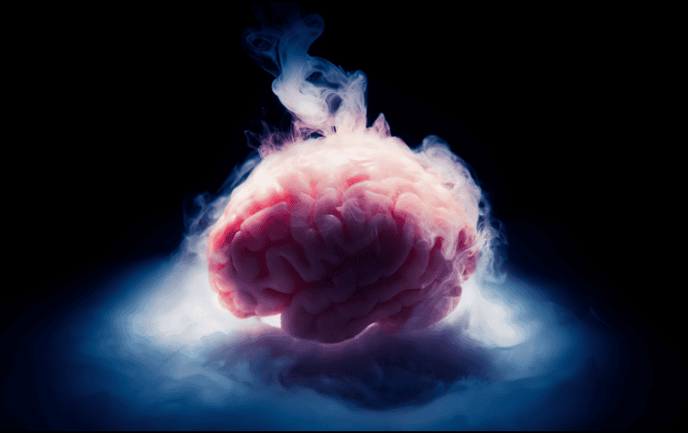 Si las conexiones sinápticas permanecen intactas, la actividad neuronal podría restablecerse incluso después de largos periodos de suspensión molecular. CANVA