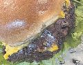 Gogo Burgers tiene cinco tipos de hamburguesas. ESPECIAL