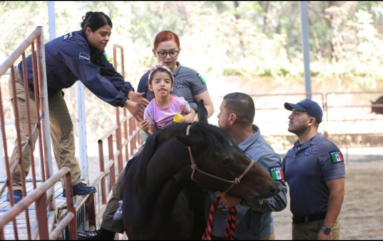 El Centro de Equinoterapia Artemisa aumentó su capacidad de respuesta para niños y niñas con diferentes padecimientos y discapacidades. ESPECIAL / Policía de Guadalajara