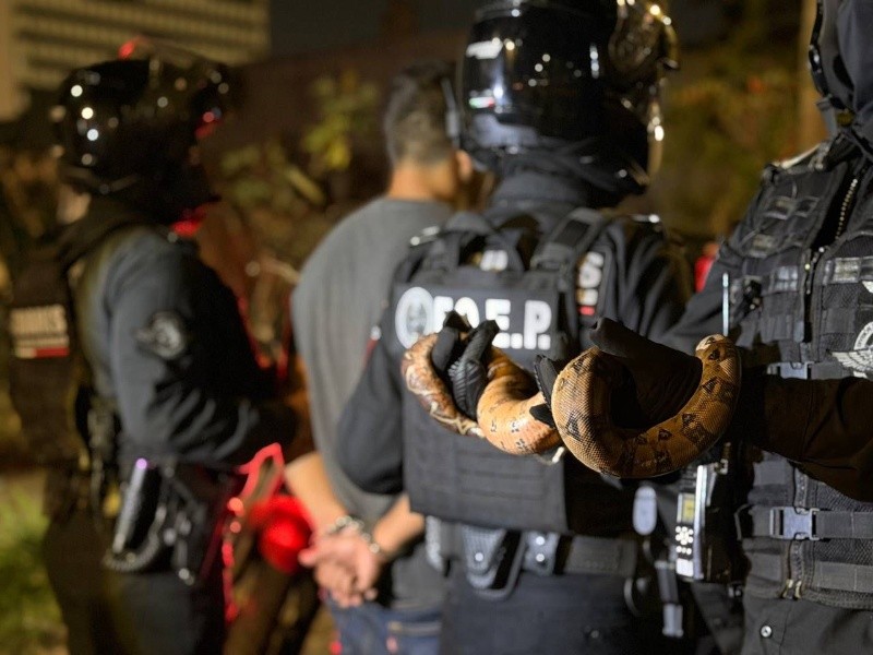 ESPECIAL / SECRETARÍA DE SEGURIDAD&nbsp;