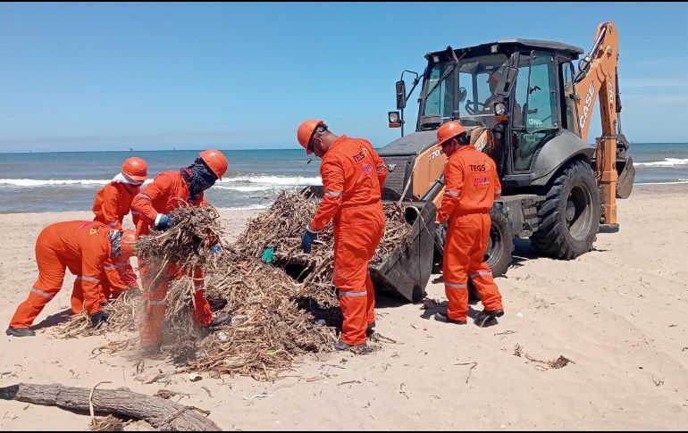 Los trabajos de saneamiento en playas presentan avances importantes y se prevé que en los próximos días puedan concluirse. ESPECIAL/Semarnat