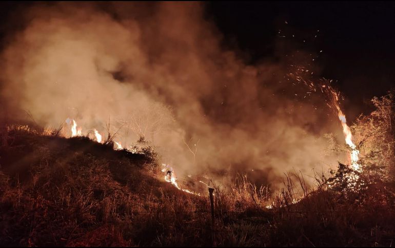 El fuego ha sido combatido por Protección Civil y Bomberos municipales, estatales y por brigadas de las zonas. ESPECIAL / FACEBOOK Protección Civil y Bomberos Puerto Vallarta