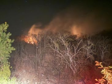 Debido a condiciones climáticas adversas y a lo escarpado del terreno, no se ha podido tener control en los incendios de Cabo Corrientes. ESPECIAL