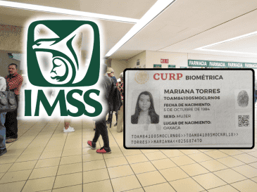 La CURP biométrica ayudará a reemplazar otros documentos necesarios para los trámites en el IMSS. EL INFORMADOR/ARCHIVO