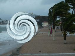 La asignación de nombres es responsabilidad de la OMM, que utiliza listas predefinidas en orden alfabético para cada temporada, y que se van rotando cada seis años. ESPECIAL / EL INFORMADOR y CANVA