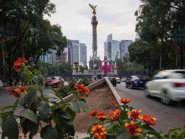 La mañana de este miércoles, todas las estaciones de monitoreo ambiental de la Ciudad de México mostraba índices de contaminación bajos. SUN/L. Camacho