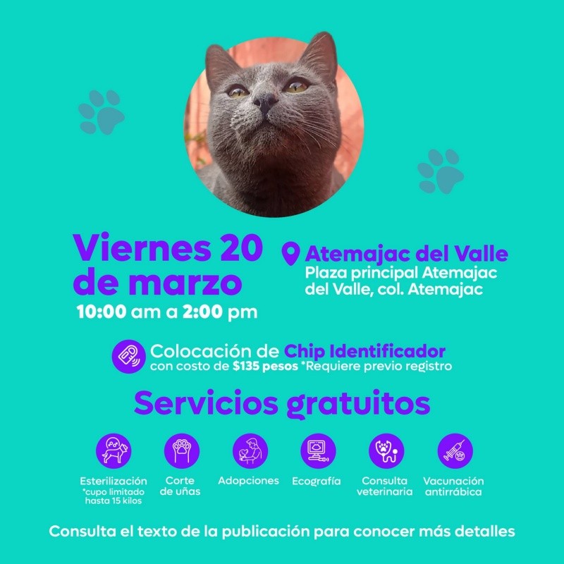 &nbsp;CORTESÍA/ Protección Animal Zapopan