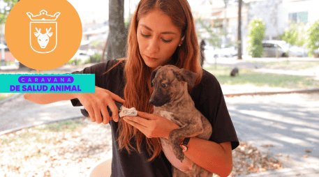 Vacunar a una mascota no solo mejora su calidad de vida, sino que también te permite disfrutar de su compañía por mucho más tiempo. ESPECIAL/ Gobierno de Zapopan