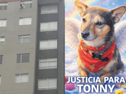 Las autoridades señalaron que el caso ya está en manos de la Fiscalía General de la Nación. ESPECIAL