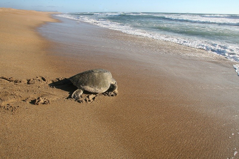 EL INFORMADOR / ARCHIVO&nbsp;