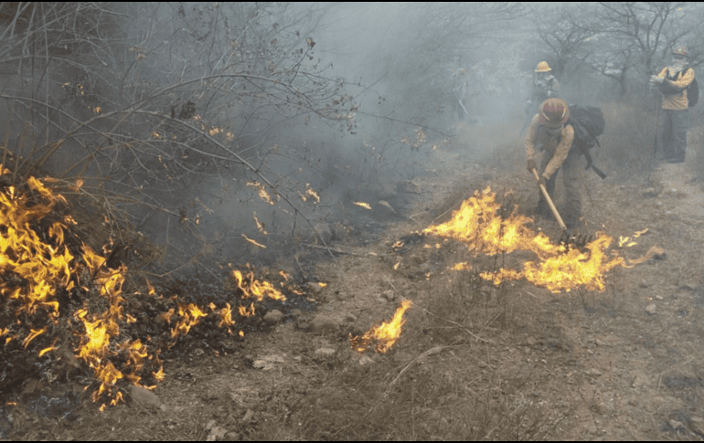 El incendió comenzó alrededor de las 13:00 horas; no se reportan personas lesionadas tras los hechos. PROTECCIÓN CIVIL Y BOMBEROS DE JALISCO
